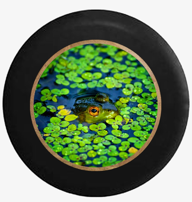 Green Frog In Lily Pads Cove Of Pond Jeep Camper Spare - Titannus Frog, transparent png