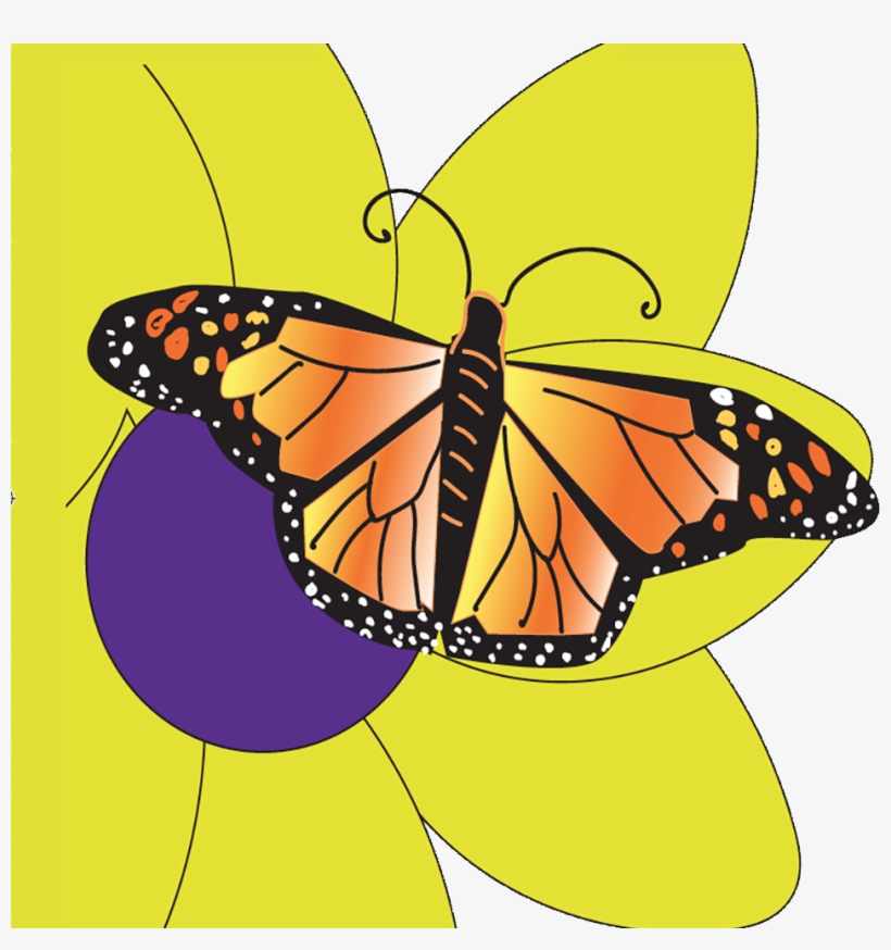 Butterfly, transparent png