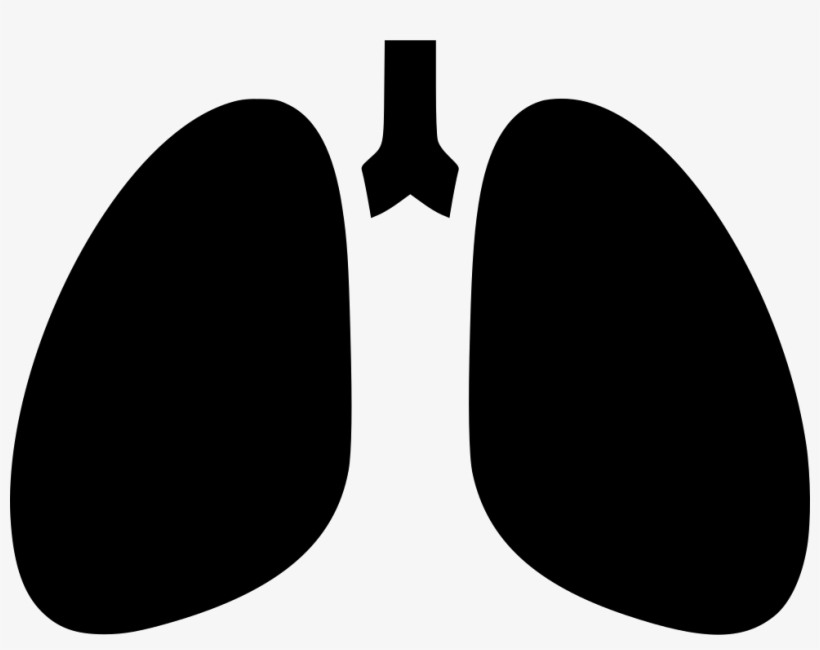 Lungs Breathing Chest X Ray Anatomytuberculosis Comments, transparent png