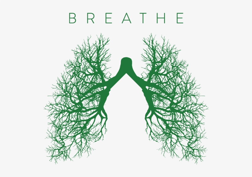 Breathe Campaign - Csulb Breathe, transparent png