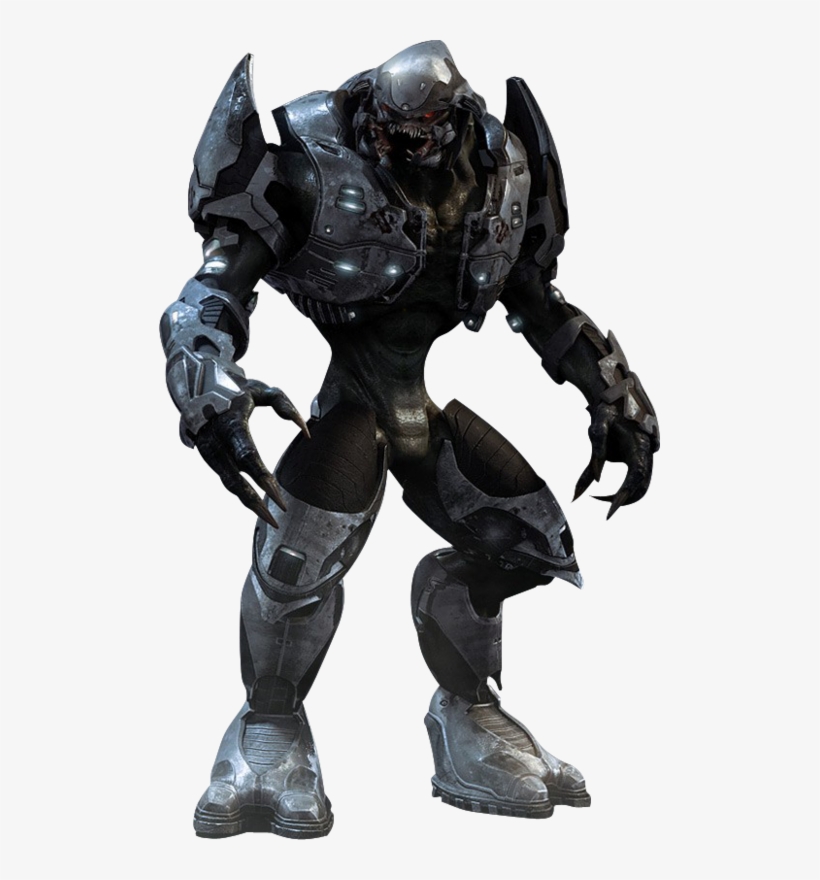 Halo Wars Elite - 501x800 PNG Download - PNGkit