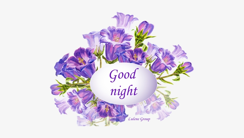 Flowers Good Night Images - Good Night Photo Flowers, transparent png