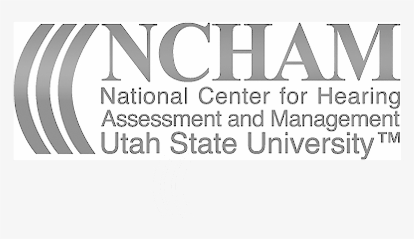 Ncham-logo2 - Ie University, transparent png
