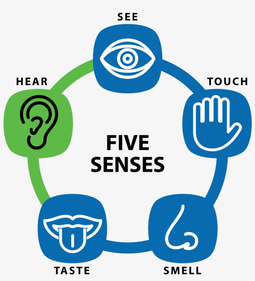 Five Senses Of Hearing Loss - 5 Rights In Public Procurement, transparent png