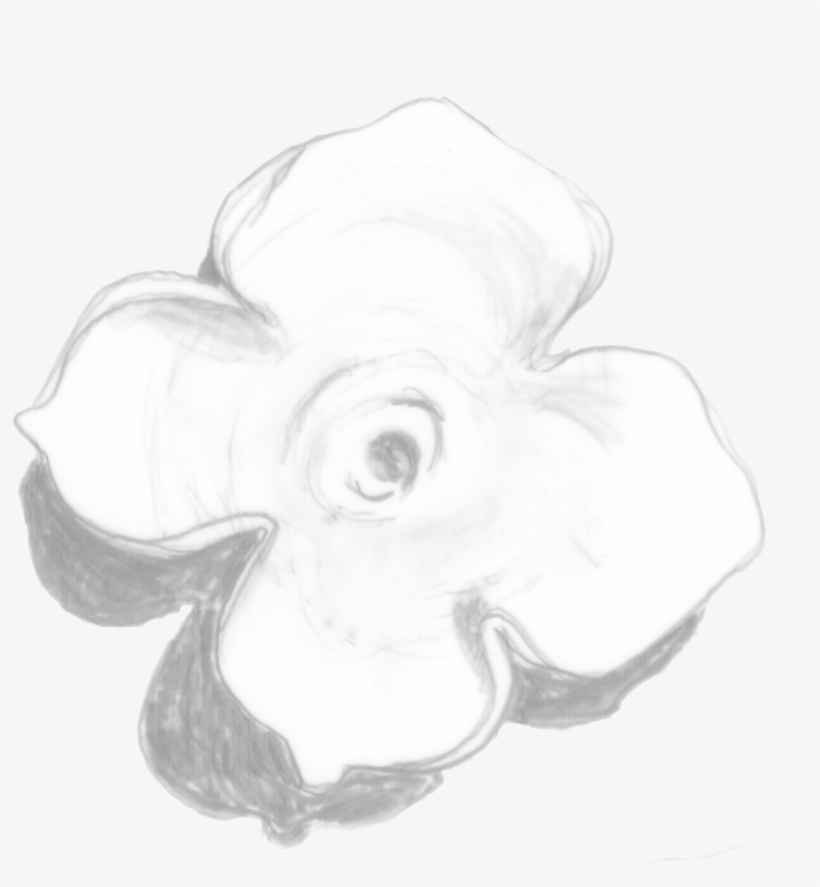 Persimmon-cap - Science, transparent png