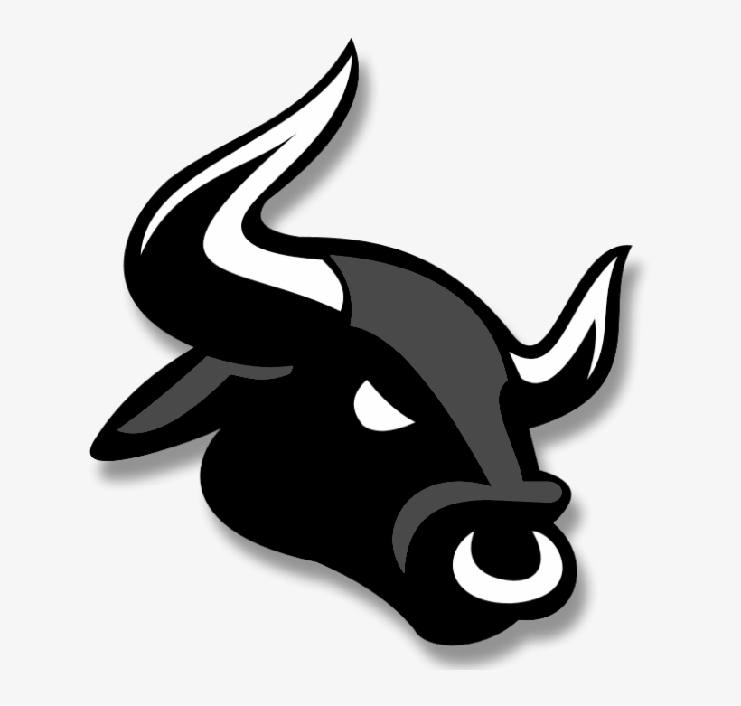 Bloomingdale High School Logo, transparent png