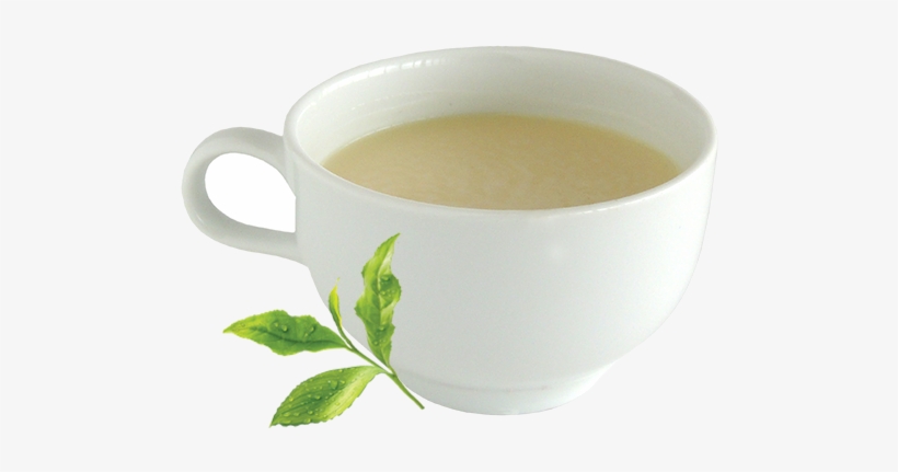Tea Tree Cafe Hot Green Milk Tea - Cup, transparent png