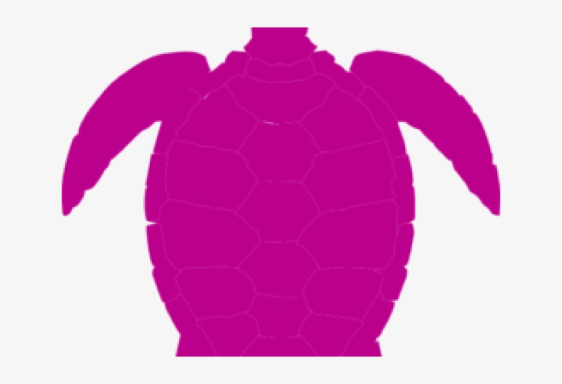 Sea Turtle Clipart Tutle - Turtle Clipart Png Black, transparent png