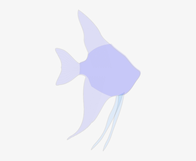 Angelfish Silhouette Svg Clip Arts 360 X 595 Px, transparent png