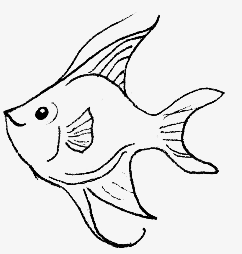 Angelfish, transparent png