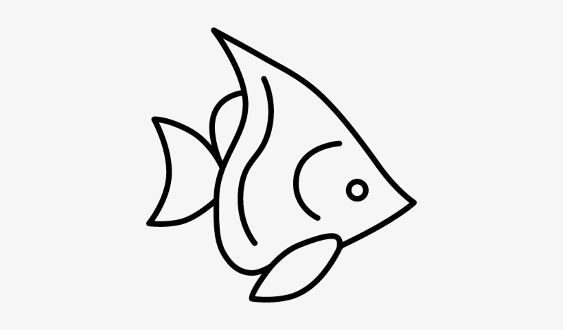 Silver Angelfish Vector - Angelfish, transparent png