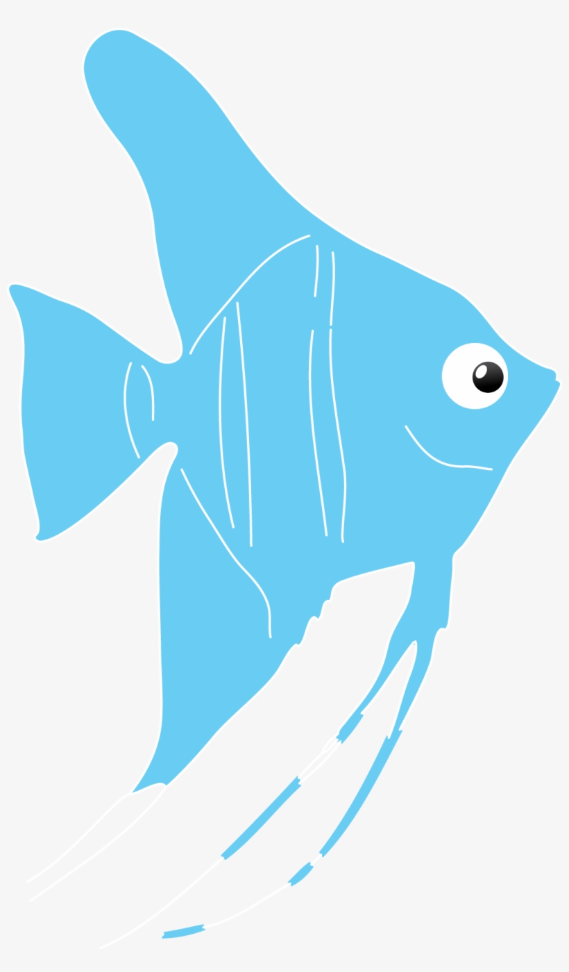 The Super-attractive, Elegant Angelfish Are Perhaps - Fish, transparent png