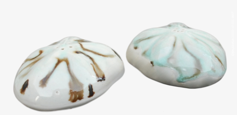 Sea Biscuit Salt Pepper Shakers - Salt And Pepper Shakers, transparent png
