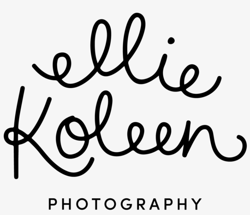 If You Like What You See And Want To Sign Up To Be - Ellie Koleen Photography, transparent png
