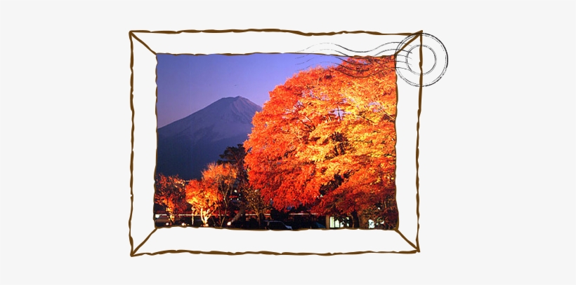 Explore Mount Fuji - 河口湖 紅葉, transparent png