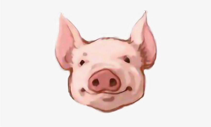 Pig Head Png, transparent png