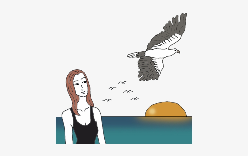Sea Eagle - Illustration, transparent png