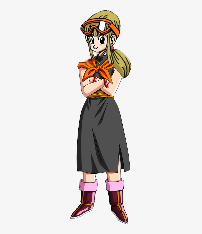 As Luck Would Have It, Another Adventurer Is Headed - Dragon Ball Z Chi Chi, transparent png