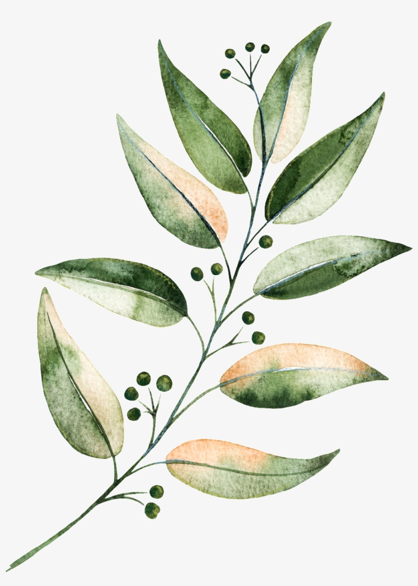 Hand Painted Green Plants - Portable Network Graphics, transparent png