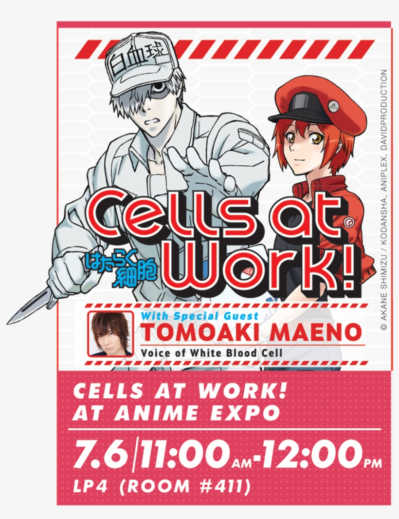 We Have Special Guest Tomoaki Maeno And Tons Of Fun - Cells At Work Icon, transparent png