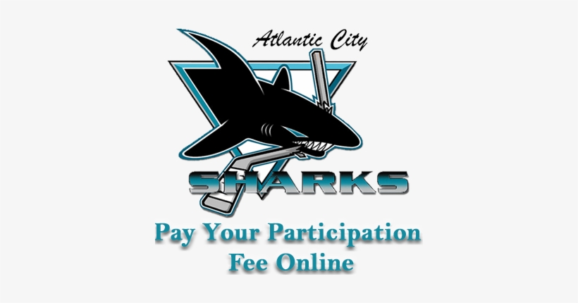 Acsharksfeesquare - Solar4america Ice, transparent png