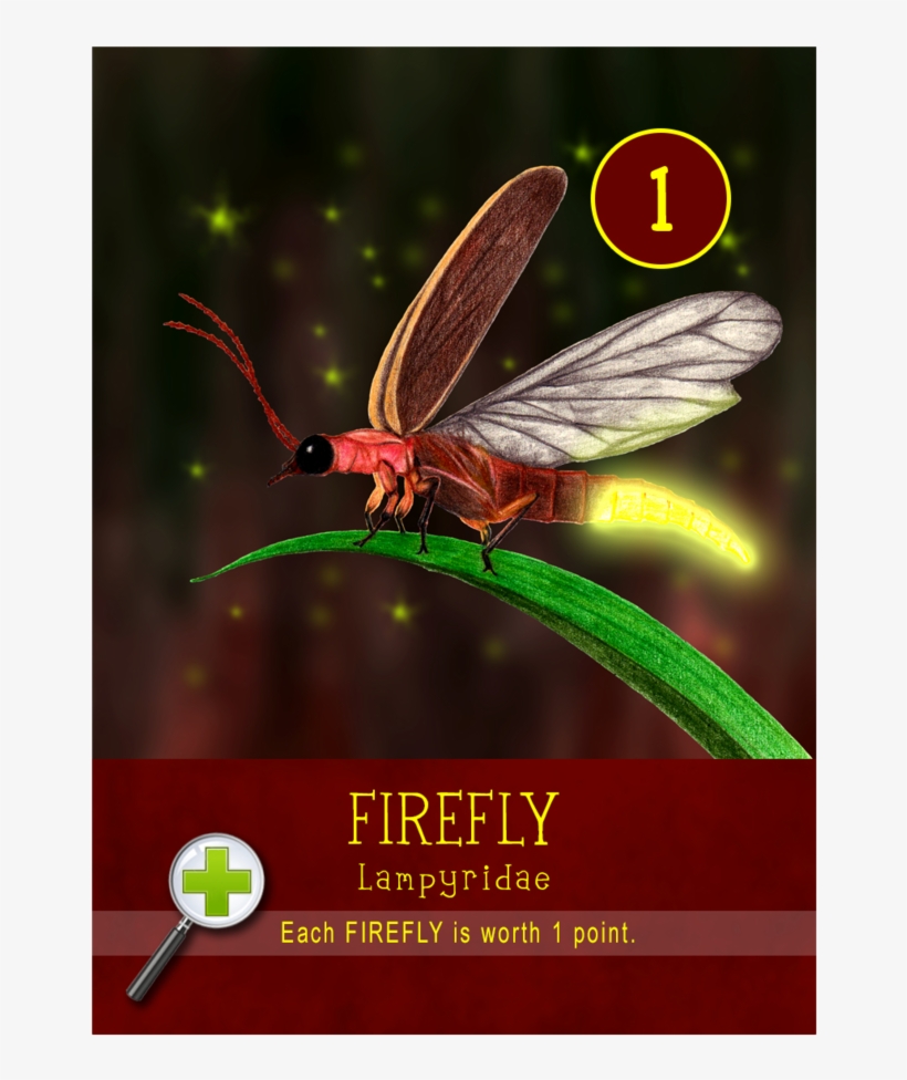 Firefly, transparent png