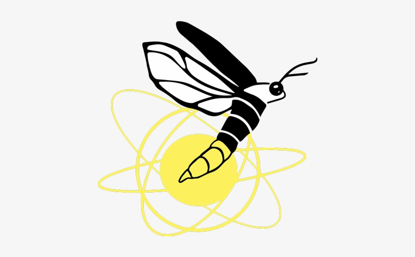 Curio Interactive - Bee, transparent png
