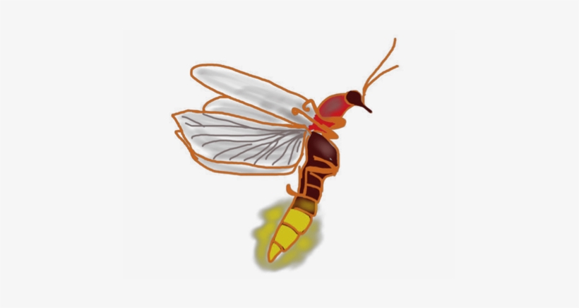 Rfct Rfct - Net-winged Insects, transparent png
