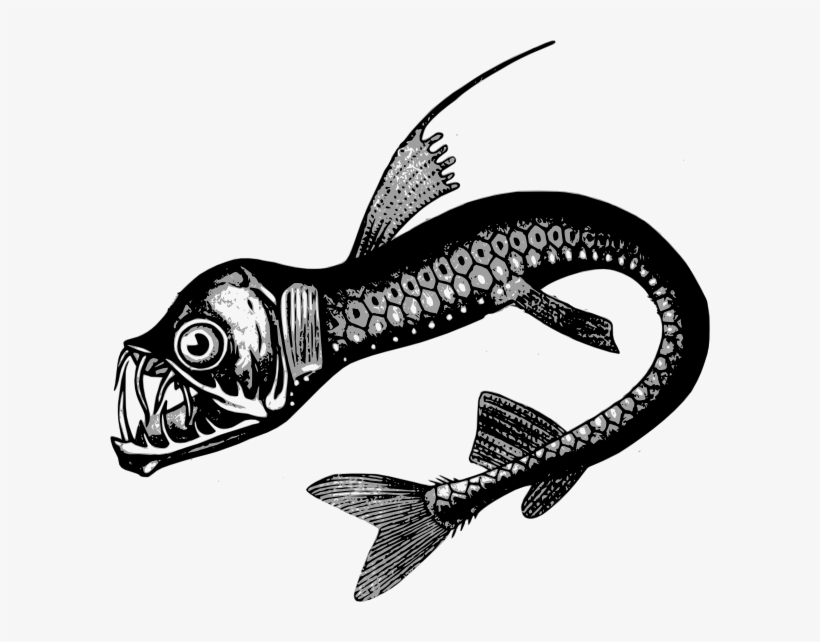 Deep Sea Fish Clip Art, transparent png