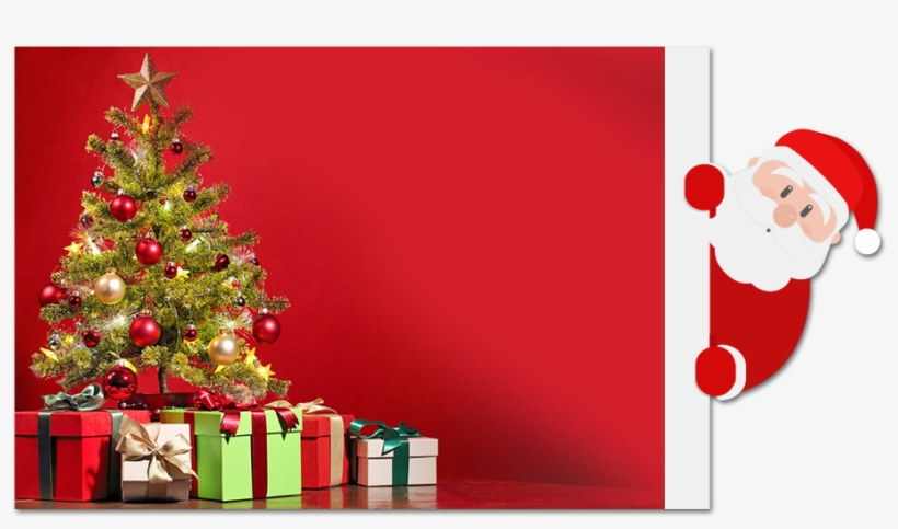 Chrismas - Christmas Gifts And Decoration Tree Red Hanging Wall, transparent png