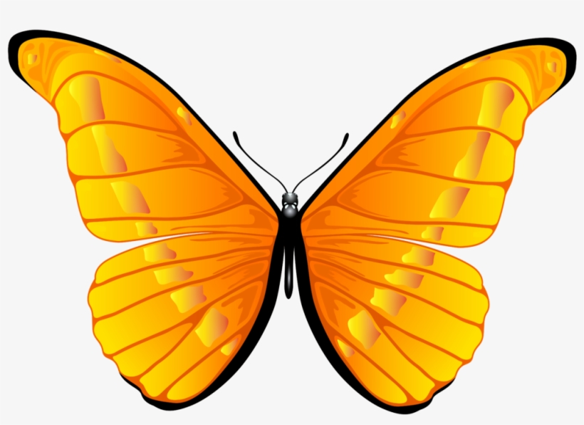 Clipart Butterfly Png 1 Free Bird - Butterfly Clipart Yellow Png, transparent png