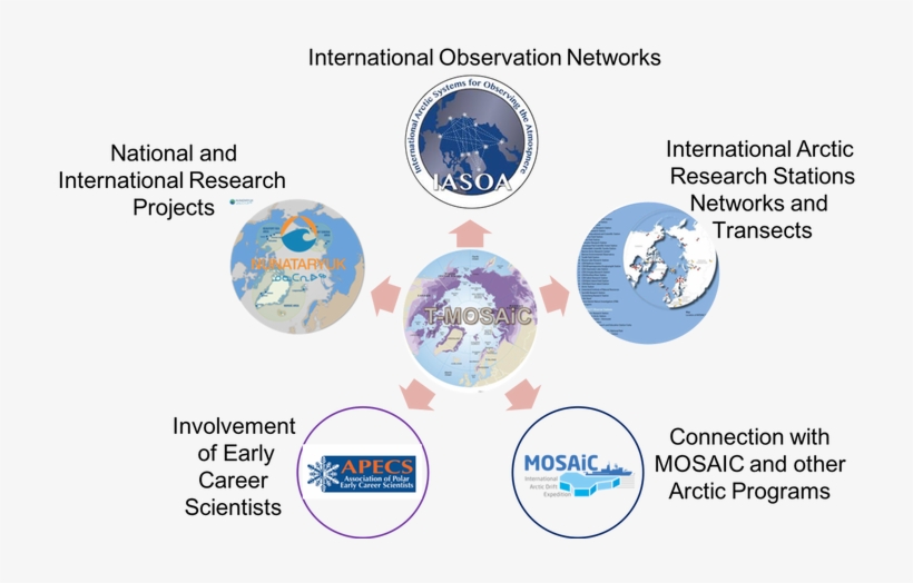 How Will T-mosaic Be To Implemented - Implementation, transparent png