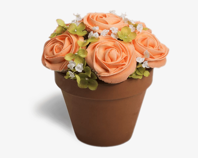 S-potted In Orange - Flower, transparent png