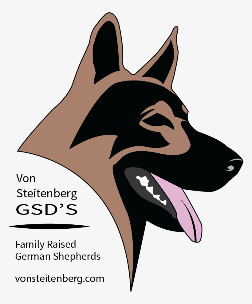 German Shepherd Puppies, German Shepherds, Atticus, - Working Dog, transparent png