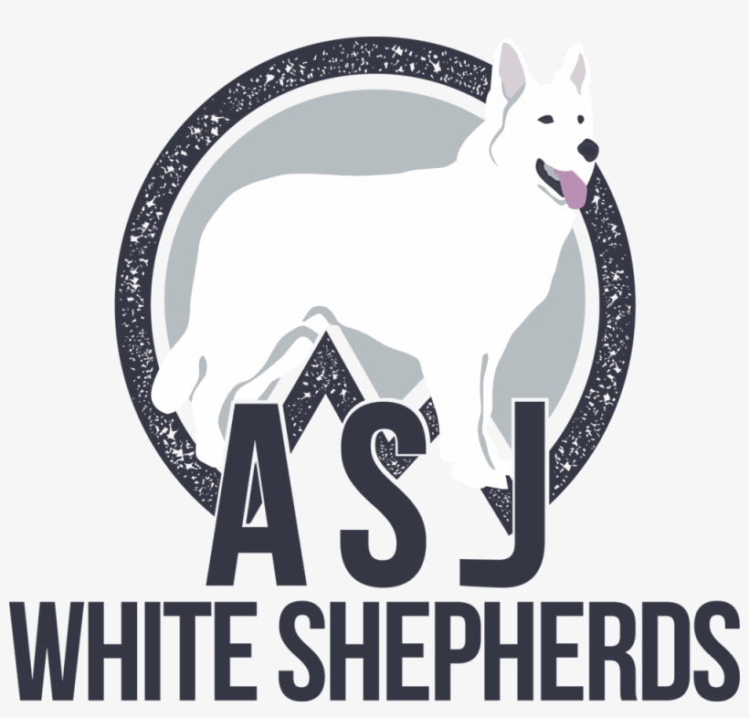 Dog Transportation Service, transparent png