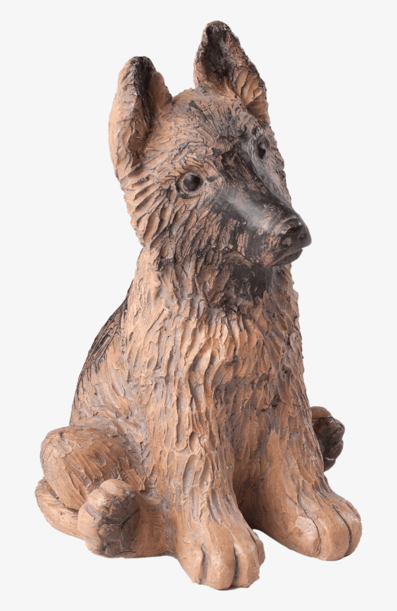 One Of America's Most Popular Dog Breeds, German Shepherds - Dog, transparent png