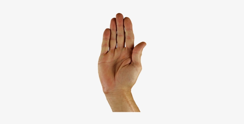 Hand-1006422 - Gesture, transparent png