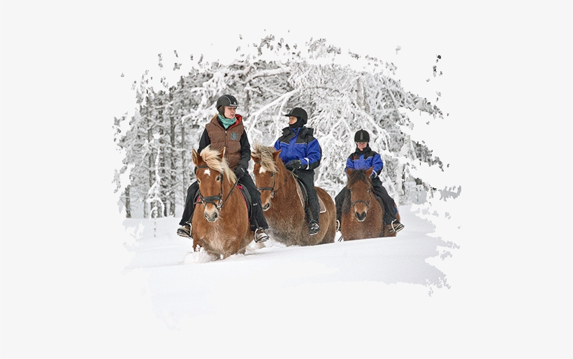 Carousel Horse Short - Kakslauttanen Arctic Resort East Village, transparent png