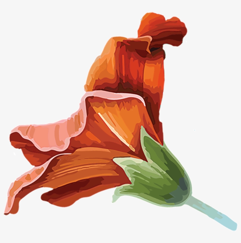 Flowers Bottom Leaf Edge Leaf Green Flowers Left - Illustration, transparent png