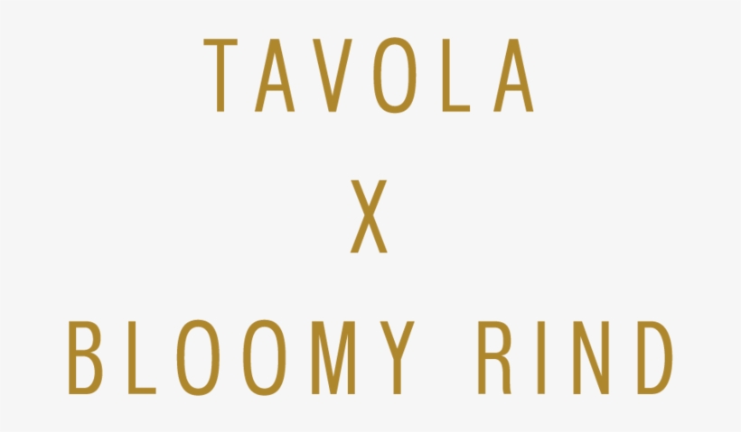 Tavolaxbloomyrind-02 - Parallel, transparent png