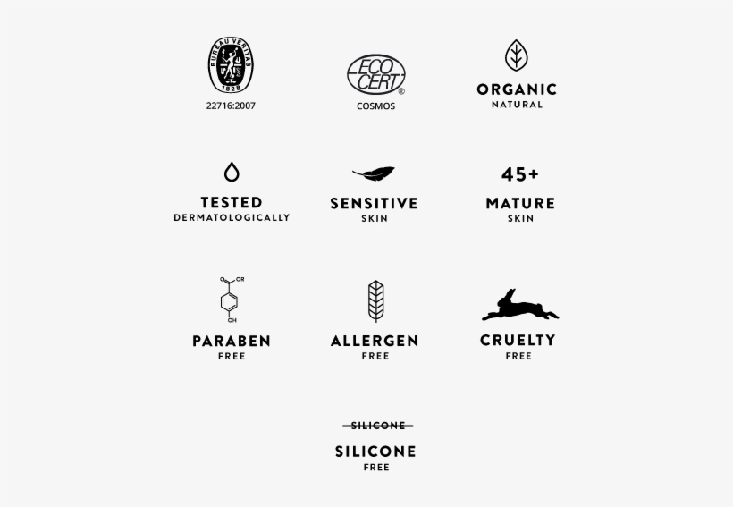 Formulas, Developed By Cosmetics Nord Have Received - Colorfulness, transparent png