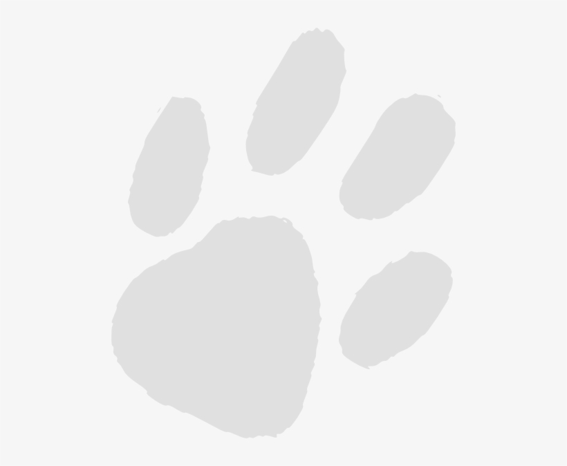 Foot, transparent png