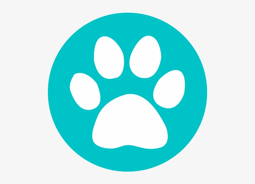 Overnight Pet Sitting $65 - Te37sl Pressed Graphite, transparent png