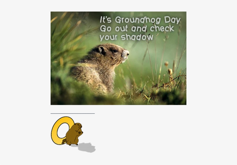 It's Groundhog Day - Groundhog Day, transparent png