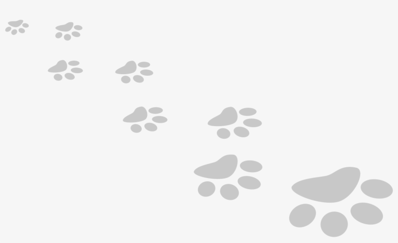 Providing The Best Care For Your Pet In Weaverville - Dog Lover Boxed Bangle Bracelet, Dogs Make My Life, transparent png