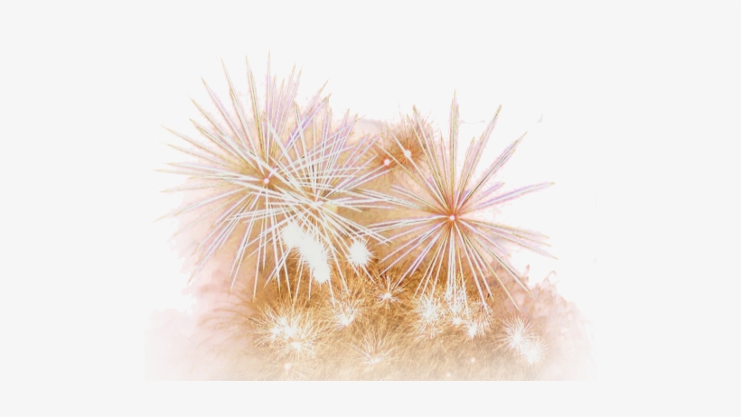 Feu D Artifice Png - Happy New Year 2011, transparent png