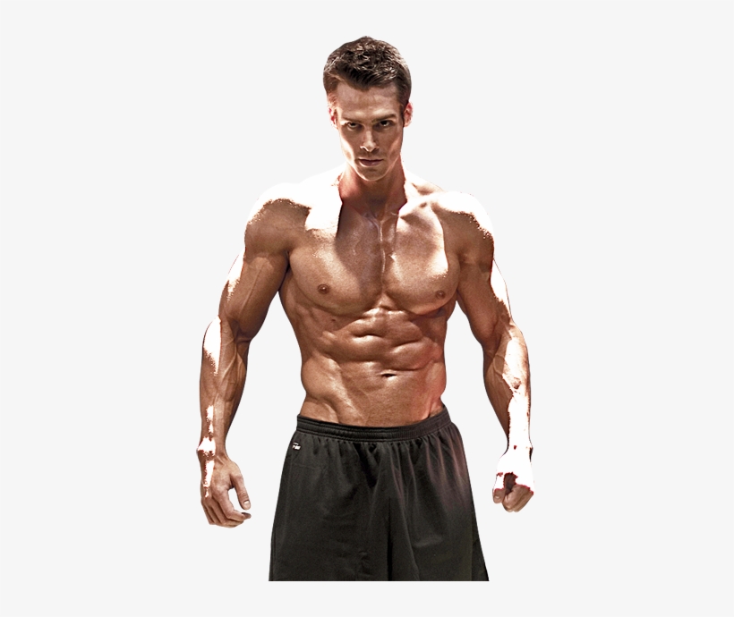 Muscle Building - Фитнес Модели Пнг, transparent png