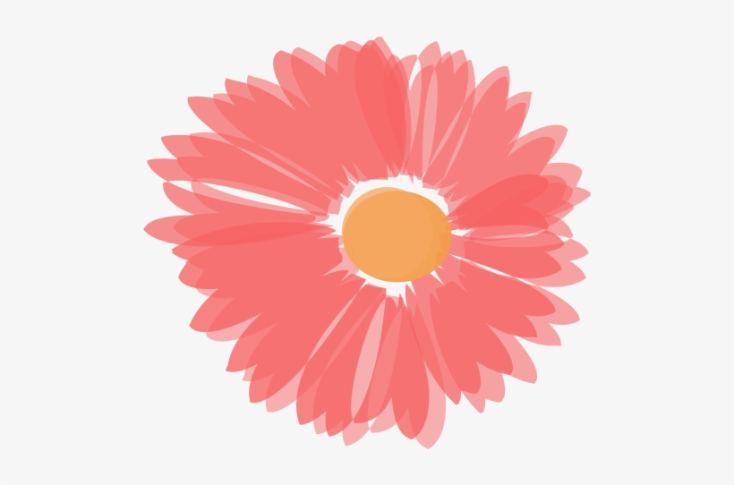 30 Best Transparent Clip Images - Coral Flower Clipart, transparent png