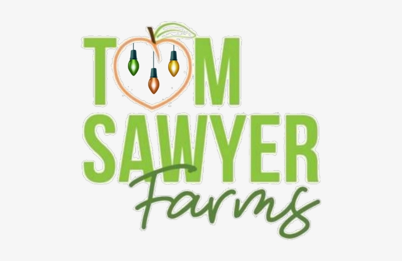 2018 Christmas Lights @ Tom Sawyer Farms - Boone County Animal Shelter, transparent png
