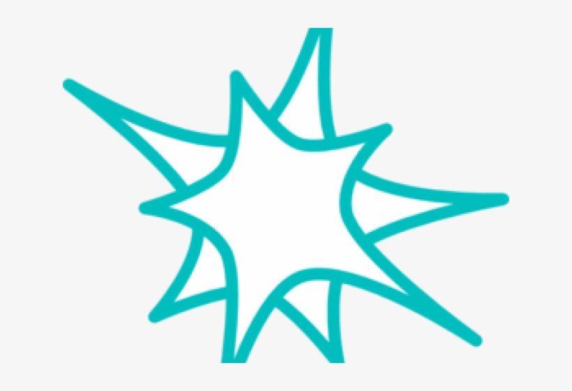 Starburst Clipart Teal - Circle, transparent png